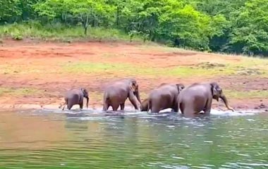 Periyar Wildlife Sanctuary
