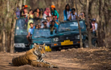 Corbett Adventure Package