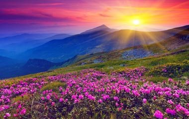 Valley of Flowers, Himalayas