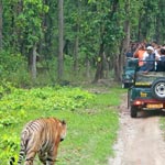 Bandipur National Park